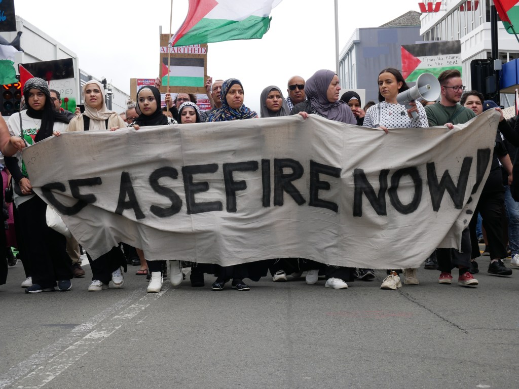 Long, Slow, and with Terrible Haste (Dunedin-Palestine Solidarity Movement, October-December 2023)